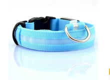 Load image into Gallery viewer, Pet Dog Collar with LED Lights