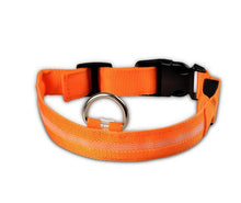 Load image into Gallery viewer, Pet Dog Collar with LED Lights