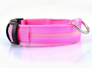 Pet Dog Collar with LED Lights