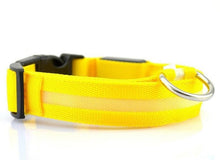 Load image into Gallery viewer, Pet Dog Collar with LED Lights