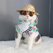 Load image into Gallery viewer, Super Special Sunglasses for Dogs and Cats