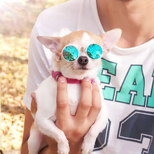 Load image into Gallery viewer, Super Special Sunglasses for Dogs and Cats