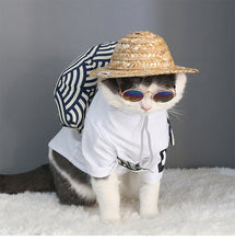 Load image into Gallery viewer, Super Special Sunglasses for Dogs and Cats