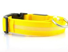 Load image into Gallery viewer, Pet Dog Collar with LED Lights