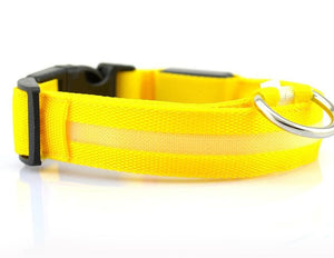 Pet Dog Collar with LED Lights