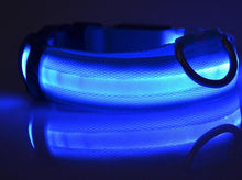 Load image into Gallery viewer, Pet Dog Collar with LED Lights