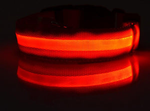 Pet Dog Collar with LED Lights