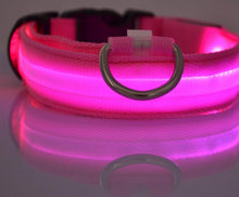 Load image into Gallery viewer, Pet Dog Collar with LED Lights