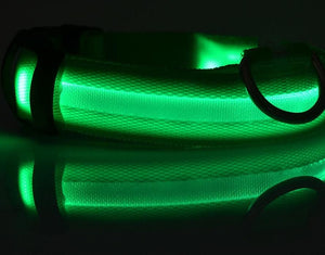 Pet Dog Collar with LED Lights