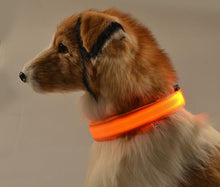 Load image into Gallery viewer, Pet Dog Collar with LED Lights